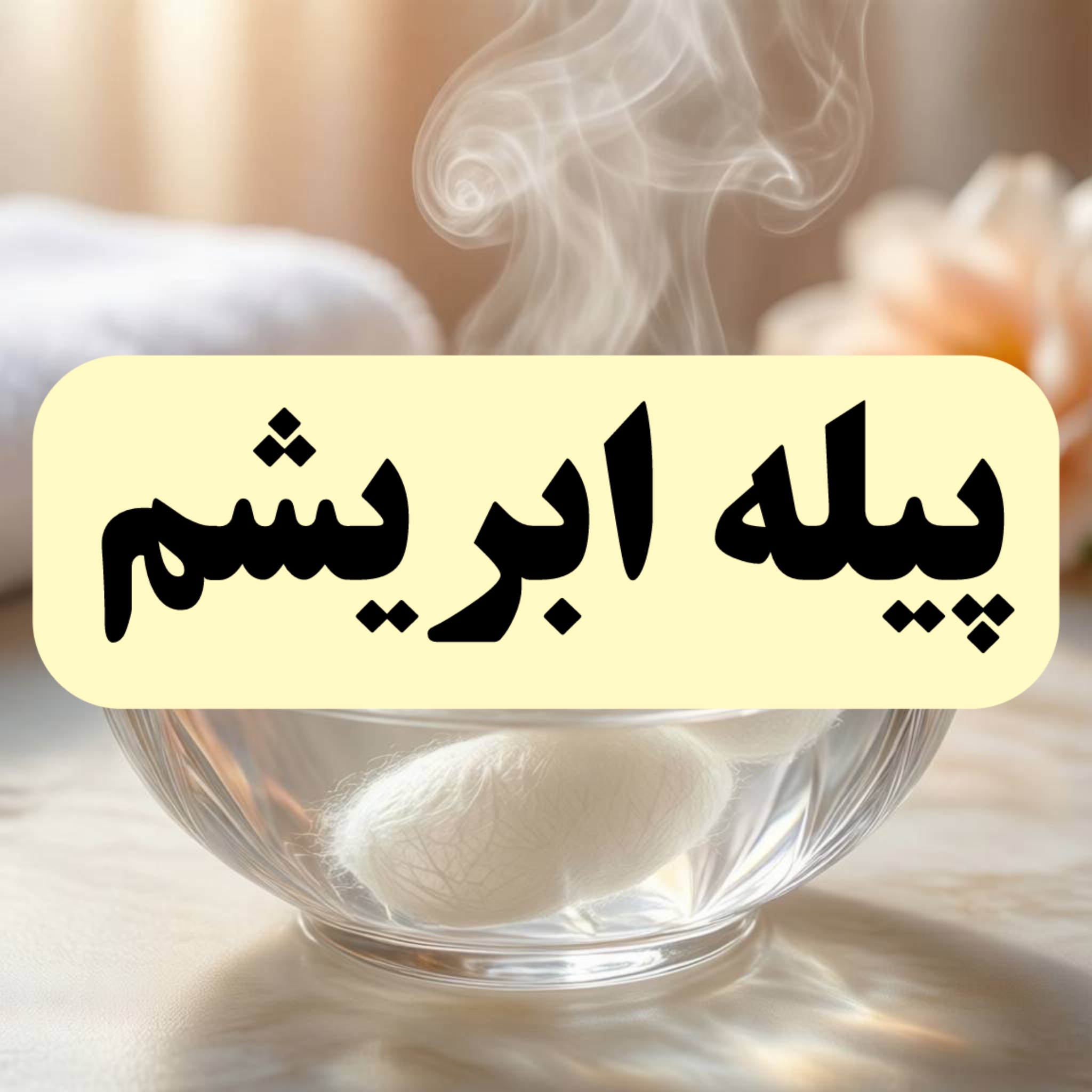 پیله ابریشم